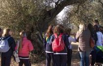 Castellón en ruta