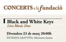 Concert Black and White Keys. Live Music Duo