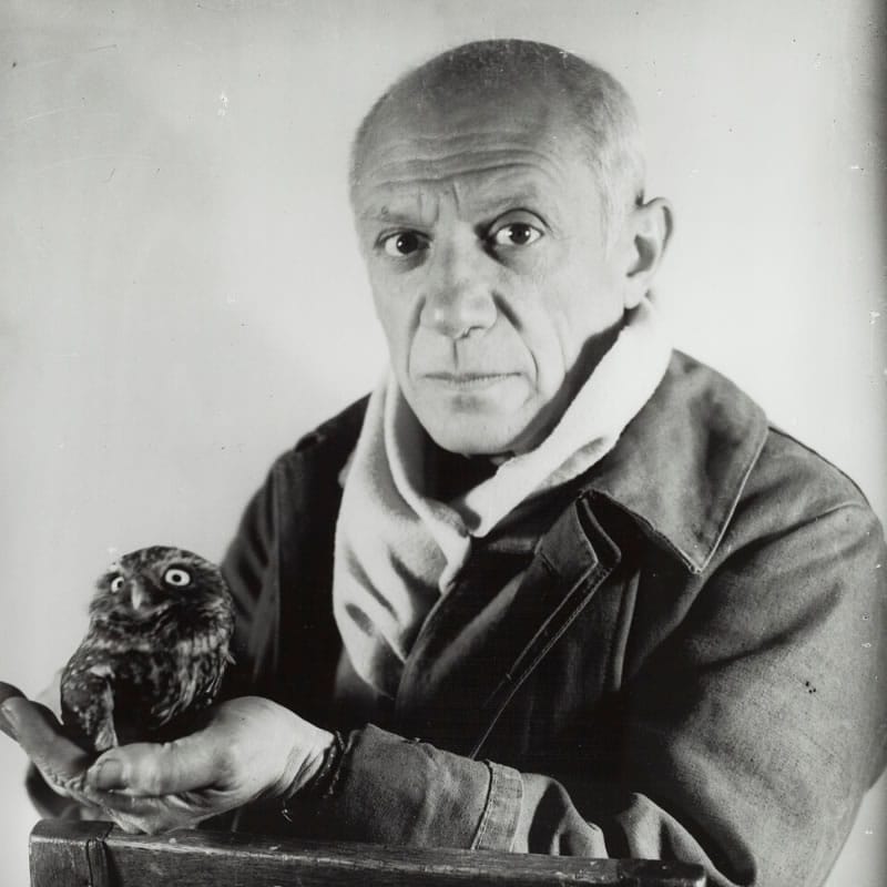 Picasso y los libros