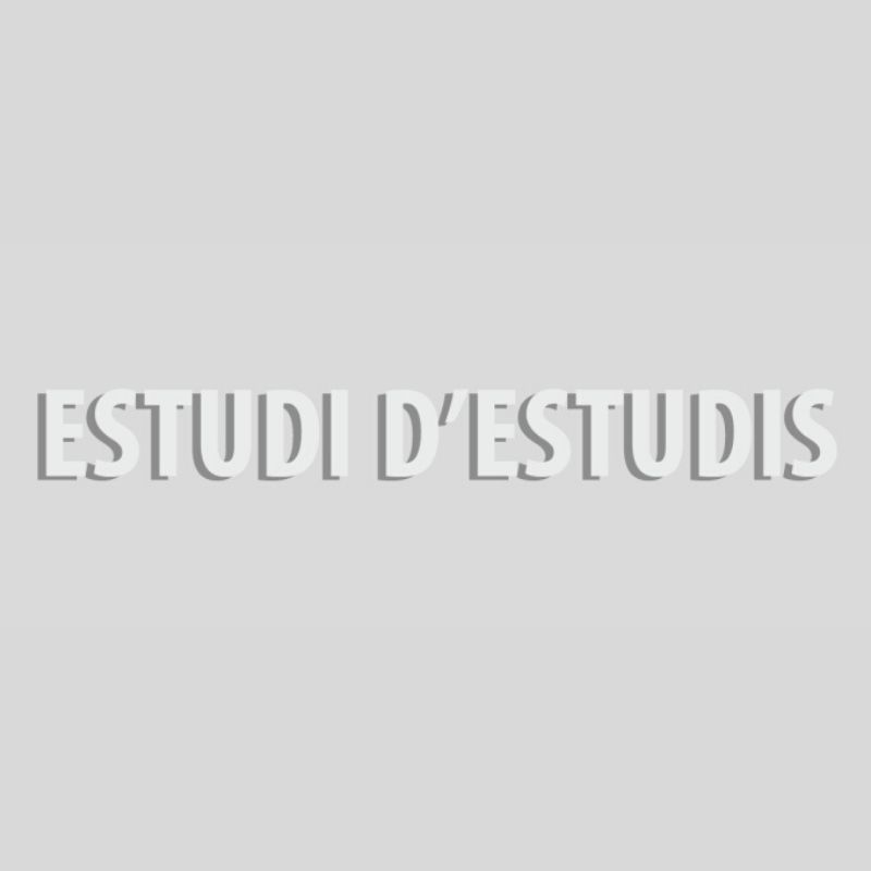 Estudi d’Estudis