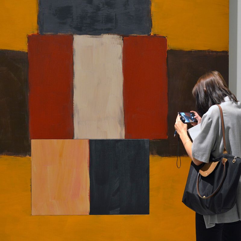 Sean Scully + Liliane Tomasko