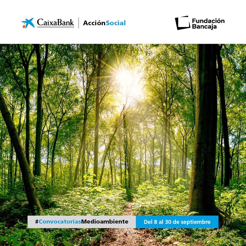 III Convocatoria Medioambiental Fundación Bancaja – CaixaBank