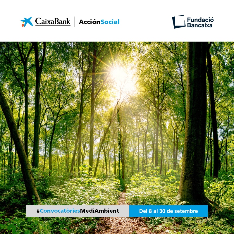 III Convocatòria Mediambiental Fundació Bancaixa – CaixaBank