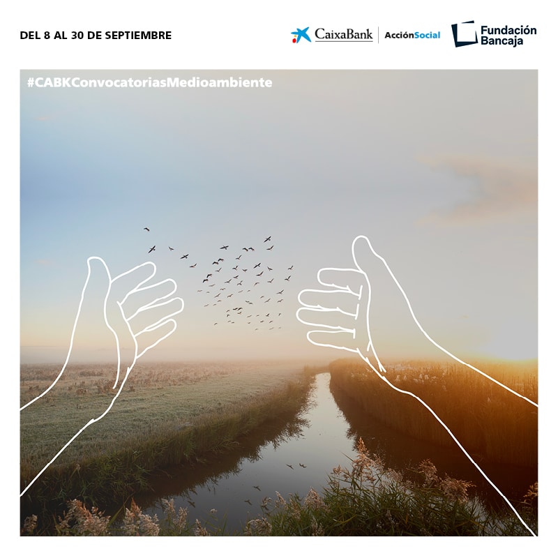 IV Convocatoria Medioambiental Fundación Bancaja – CaixaBank