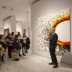 Visites comentades a les exposicions