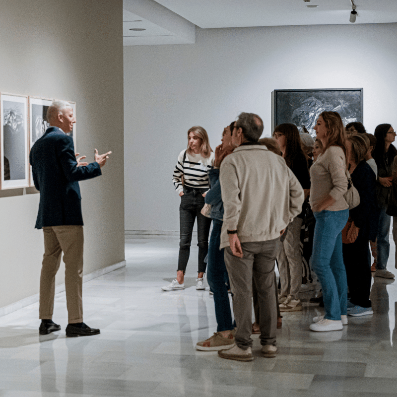 Visites comentades Exposició Antonio Saura. Essencial