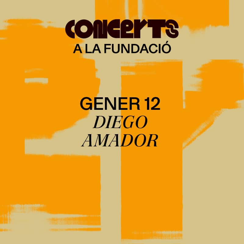 Concert de flamenc. Diego Amador
