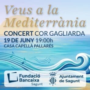 BANNER Concierto Veus de la Mediterrania