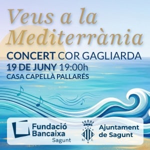 BANNER Concierto Veus de la Mediterrania