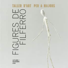 banner VLC 800x800 px taller figuras alambre 20262